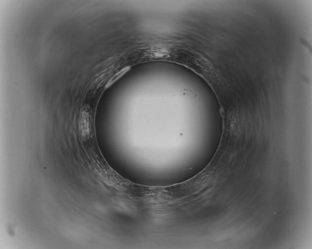 X0000100851442200806201203