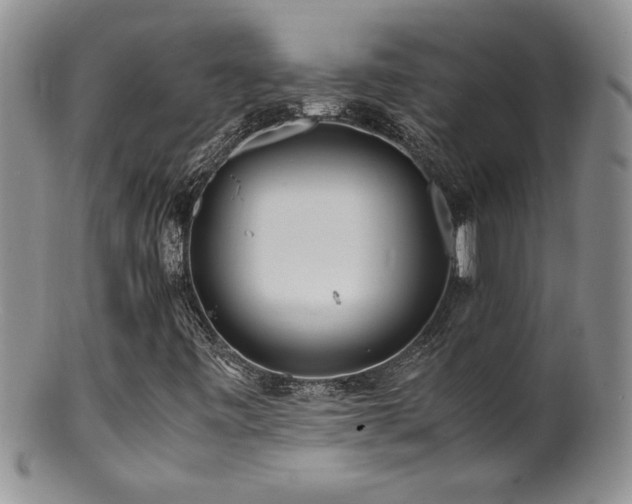 X0000100851443200806201203