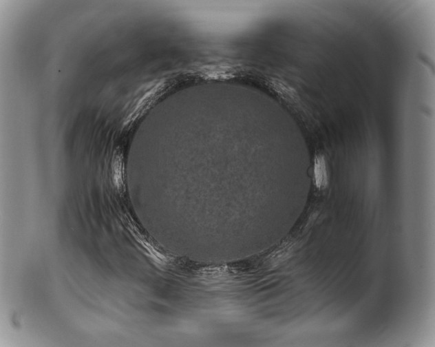 X0000100851444200806201203
