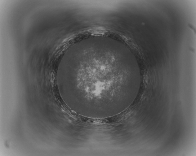 X0000100851445200806201203