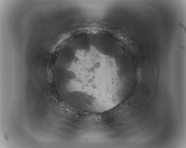 X0000100851446200806201203