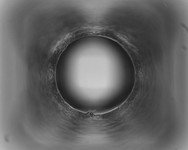 X0000100851447200806201203
