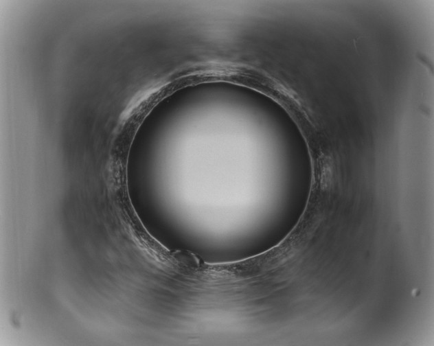 X0000100851448200806201203