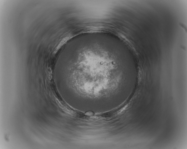 X0000100851449200806201203