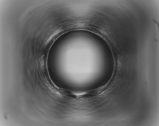 X0000100851450200806201203