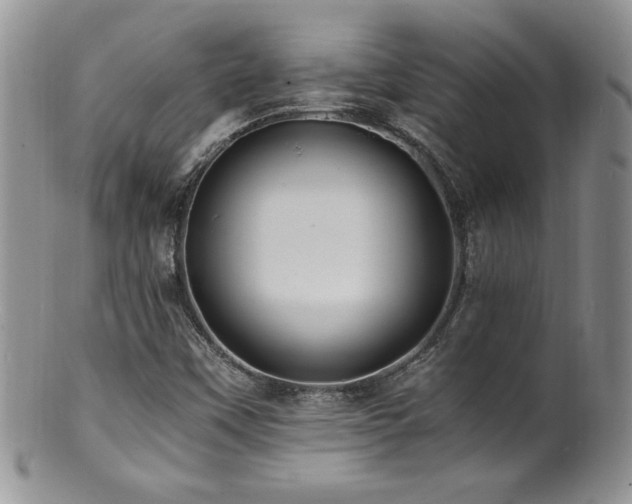 X0000100851451200806201203