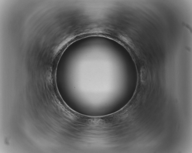 X0000100851452200806201203