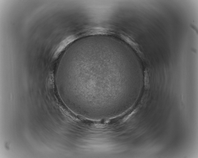 X0000100851453200806201203