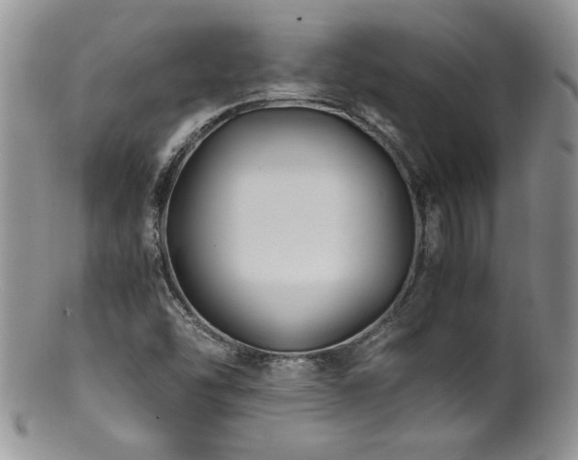 X0000100851454200806201203
