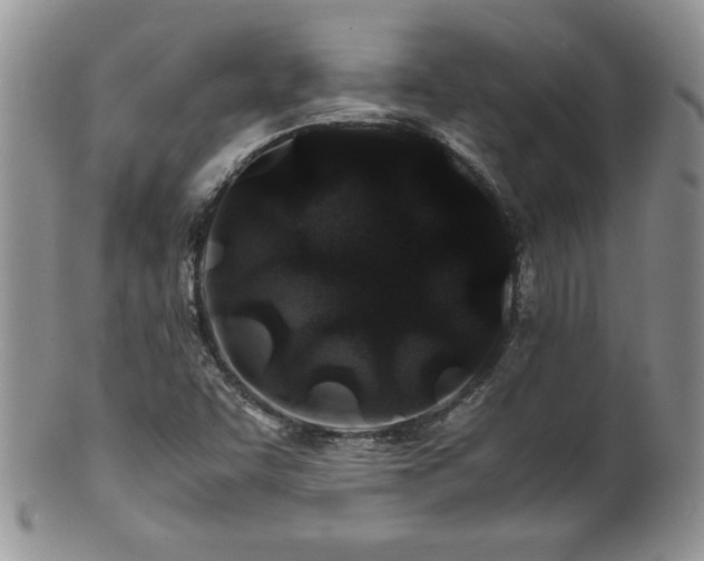 X0000100851455200806201203