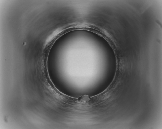 X0000100851456200806201203