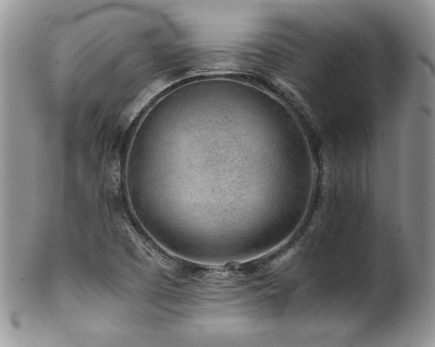 X0000100851457200806201203