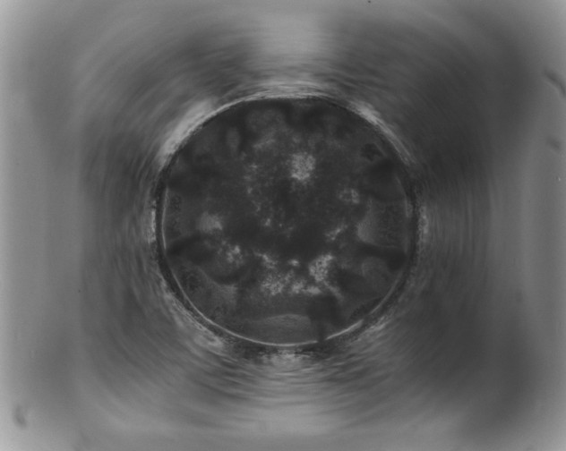 X0000100851459200806201203