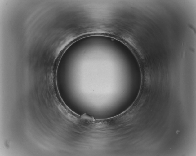 X0000100851460200806201203