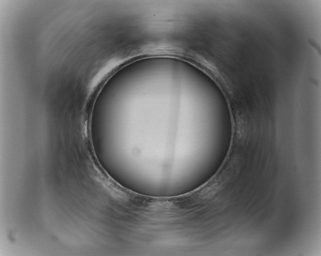 X0000100851462200806201203