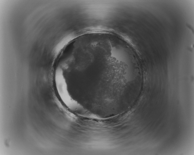 X0000100851463200806201203