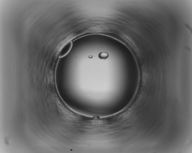 X0000100851465200806201203