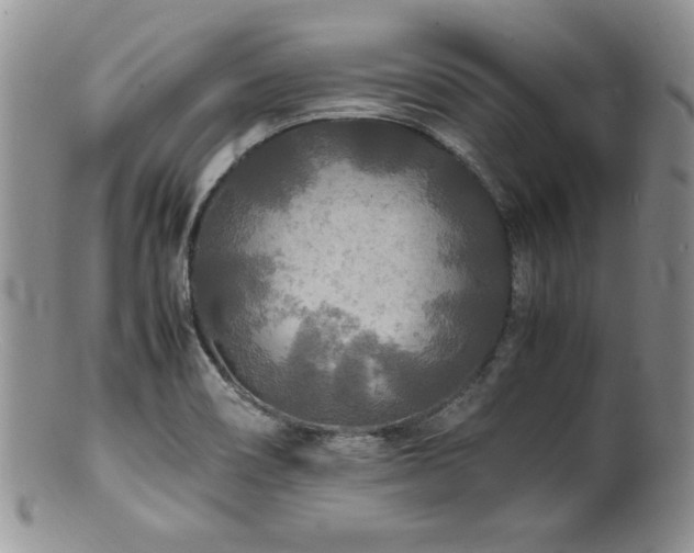X0000100851466200806201203