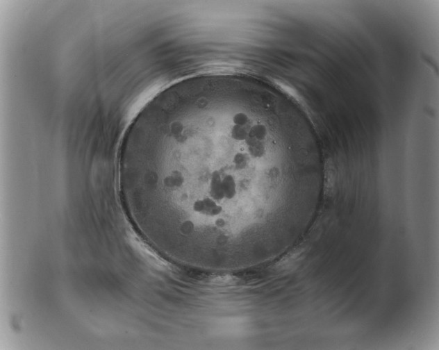 X0000100851467200806201203