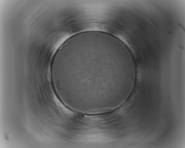 X0000100851468200806201203