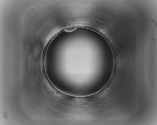 X0000100851469200806201203