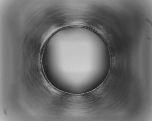 X0000100851470200806201202