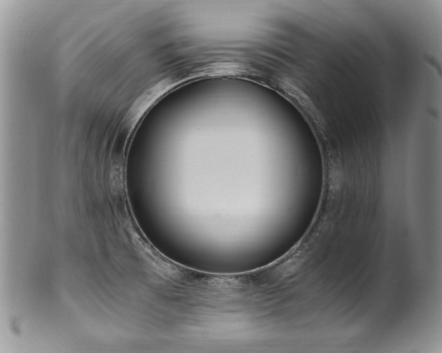 X0000100851473200806201202