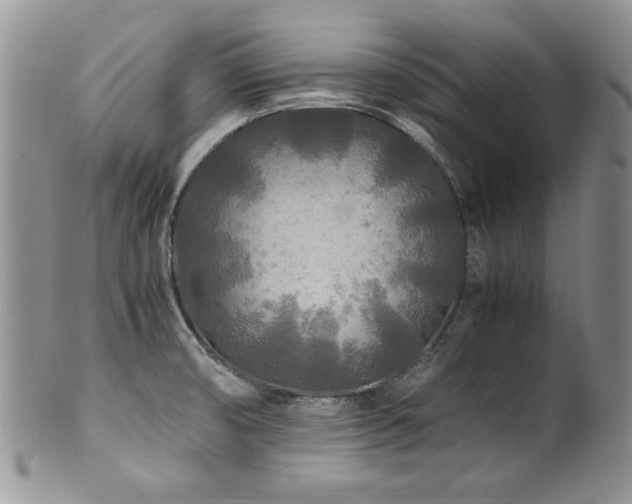 X0000100851474200806201202