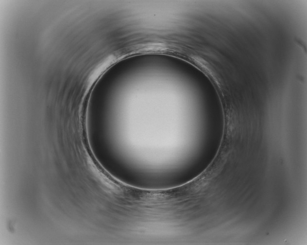 X0000100851475200806201202