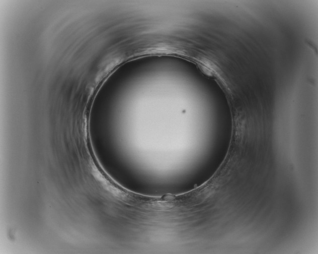 X0000100851476200806201202