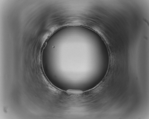 X0000100851477200806201202