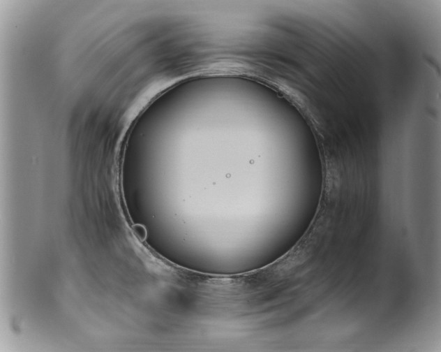 X0000100851478200806201202