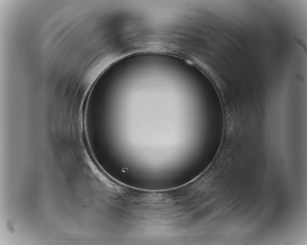 X0000100851479200806201202