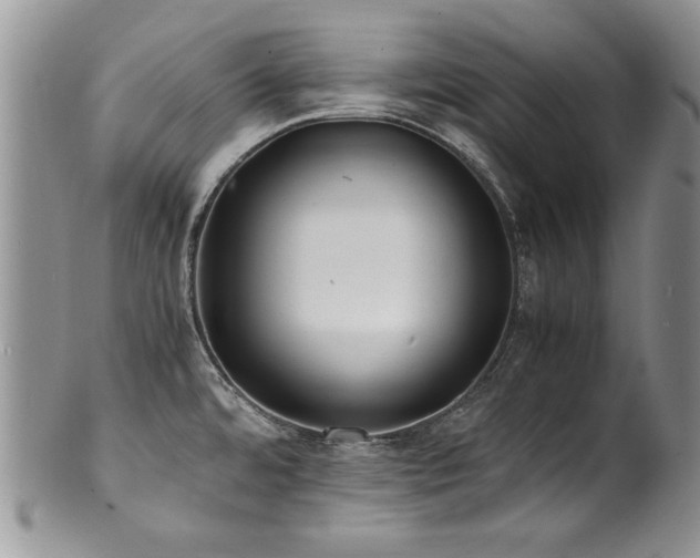 X0000100851480200806201202