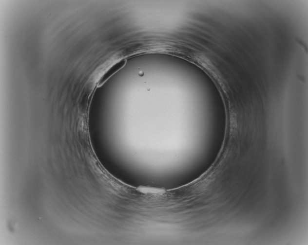 X0000100851481200806201202