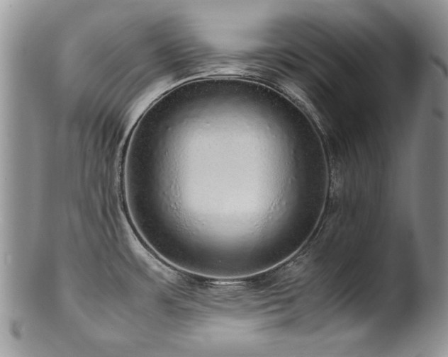 X0000100851483200806201202