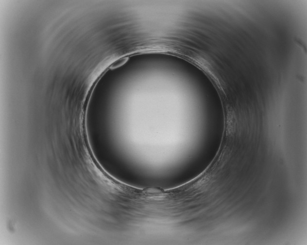 X0000100851484200806201202