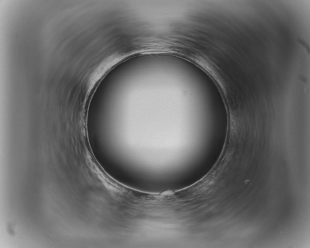 X0000100851485200806201202