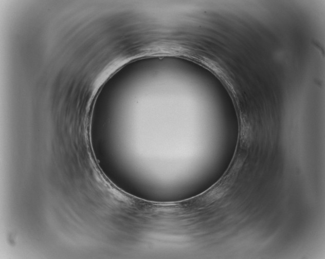 X0000100851486200806201202