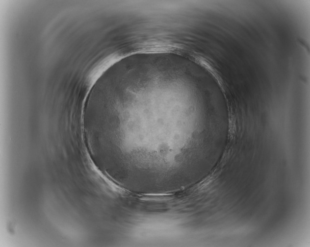 X0000100851487200806201202