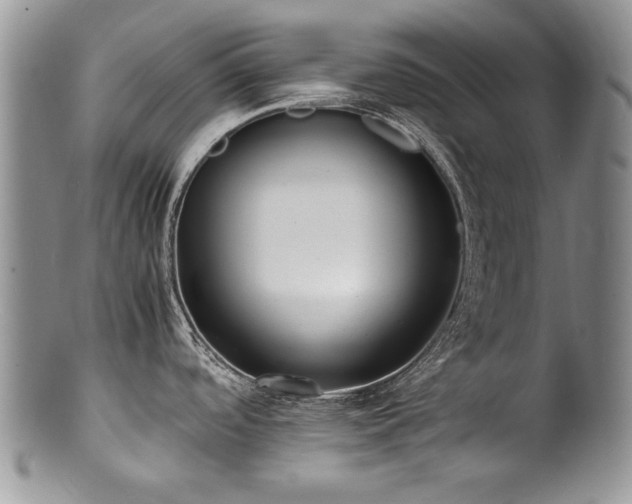 X0000100851488200806201202