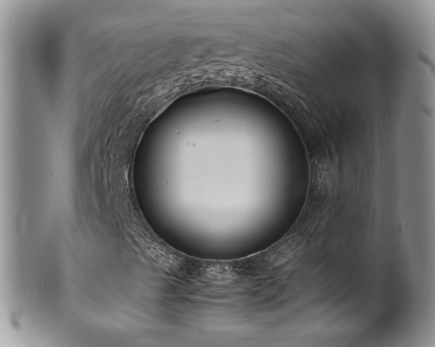 X0000100851489200806201202