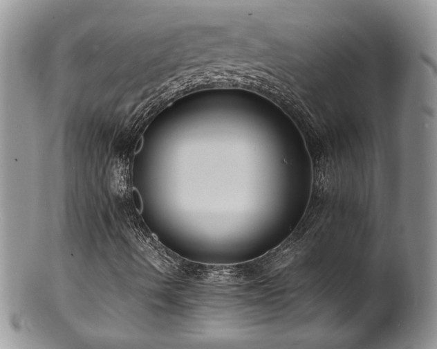 X0000100851490200806201202