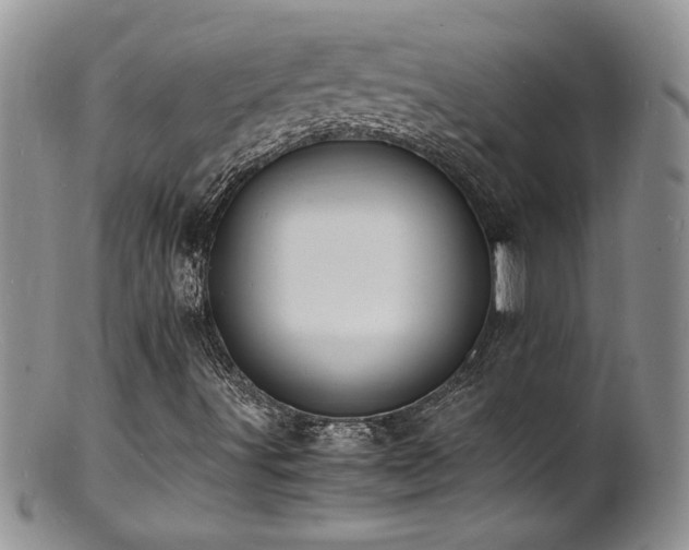 X0000100851491200806201202