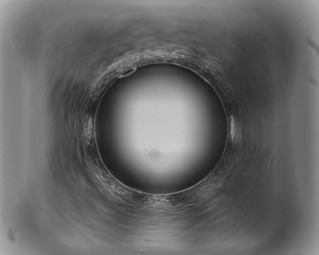 X0000100851492200806201202