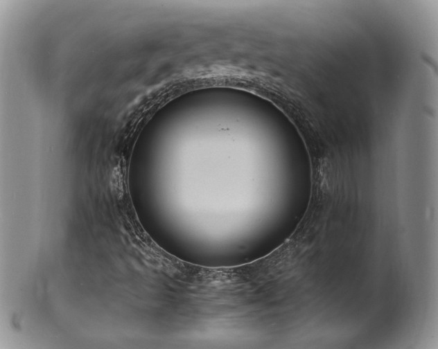 X0000100851493200806201202