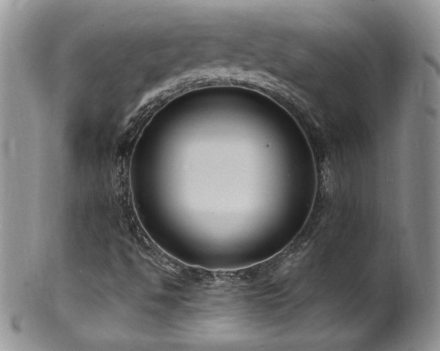 X0000100851494200806201202