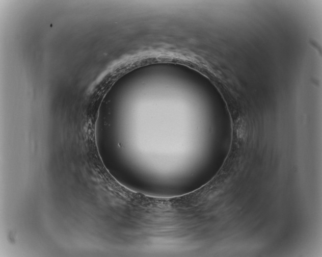 X0000100851495200806201202