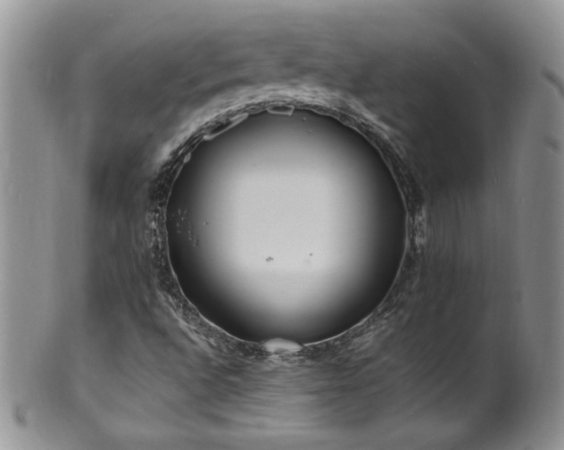 X0000100851496200806201202