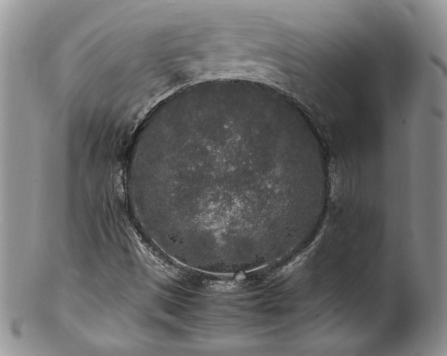 X0000100851497200806201202